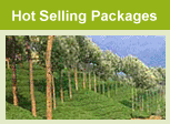 affordable tourism packages to south india